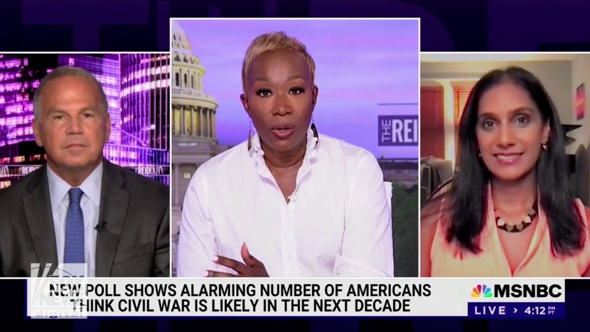 Biden is the most 'purposefully inoffensive politician of his generation,' MSNBC's  Joy Reid insists | Fox News