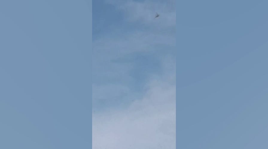 Swarm of locusts invade skies of Mexico