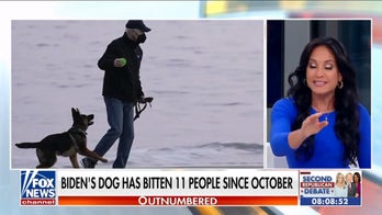 Even Biden’s dog is getting a ‘sweetheart deal’: Kayleigh McEnany