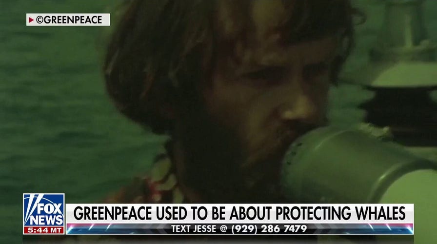 Why aren't more environmental activists trying to save whales from Big Wind?