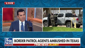 Democratic rhetoric on I.C.E agents inciting continued violence, says former special agent