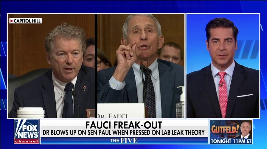 'The Five' reacts to Fauci-Paul fireworks in Congress
