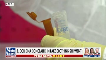 Chinese national sentenced for smuggling E. coli into US