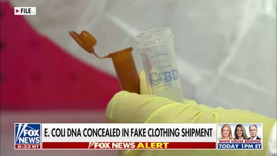 Chinese national sentenced for smuggling E. coli into US