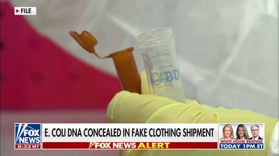 Chinese national sentenced for smuggling E. coli into US