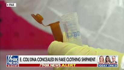 Chinese national sentenced for smuggling E. coli into US