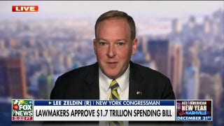Federal spending 'out of control' following omnibus bill passage: Rep. Zeldin - Fox News