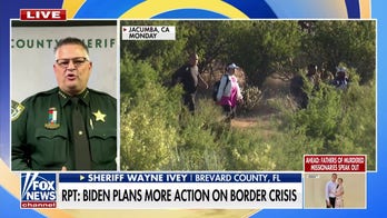 Florida sheriff rips Biden's handling of border surge: 'Too little too late'