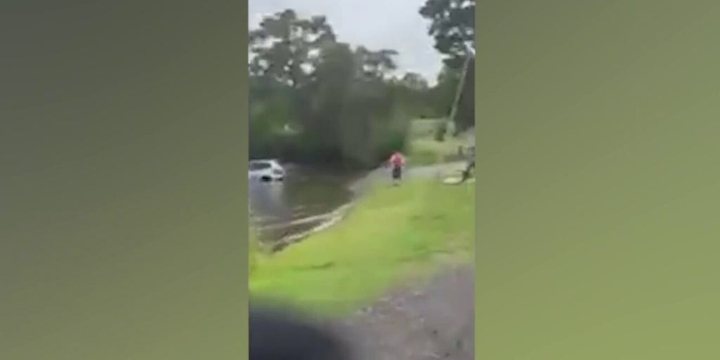 Woman's car rolls into lake as she confronts ICE agents