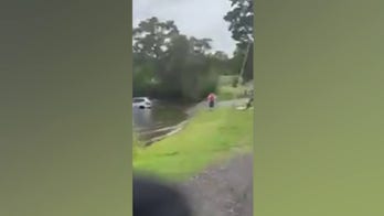 Woman's car rolls into lake as she confronts ICE agents