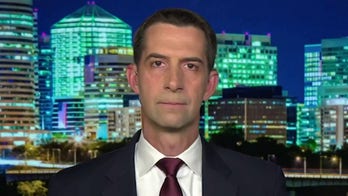 Tom Cotton calls for Blinken to answer before Congress over Hunter Biden laptop cover story
