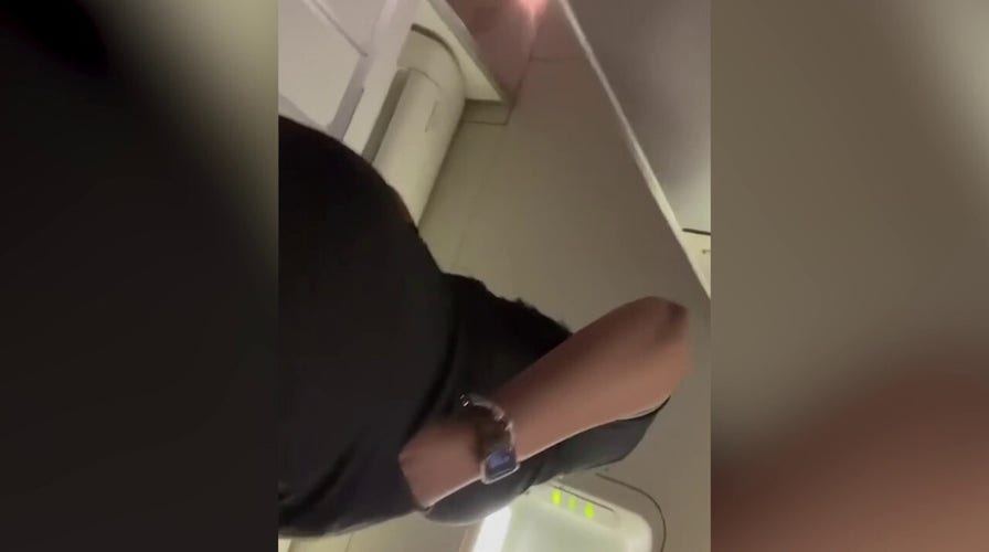 United Airlines passenger pummels flight attendant