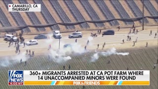 Over 360 illegal migrants arrested in massive ICE raid at California pot farm