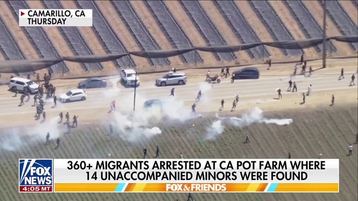 Over 360 illegal migrants arrested in massive ICE raid at California pot farm