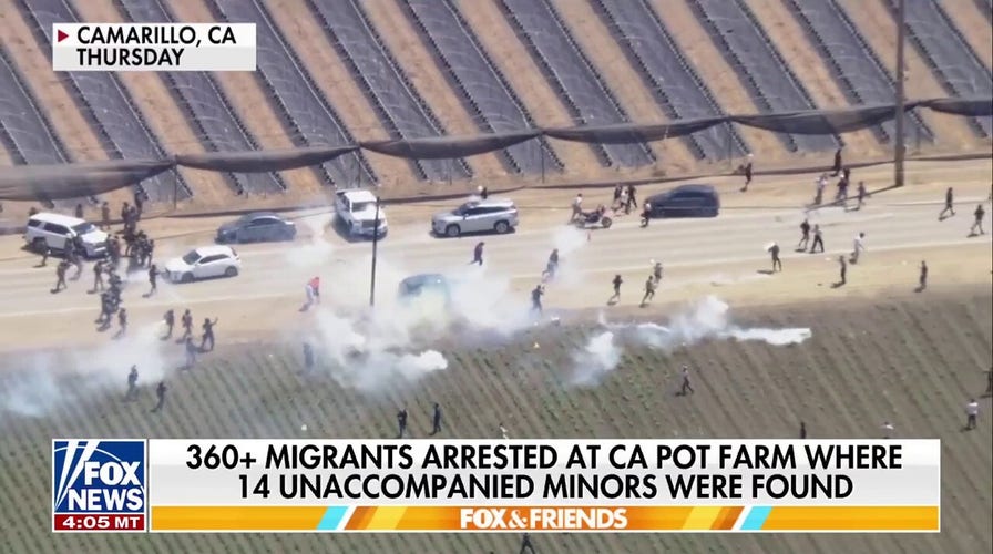 Over 360 illegal migrants arrested in massive ICE raid at California pot farm
