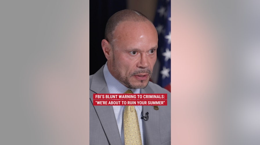 Violent criminals are getting a rude awakening this summer, says Deputy FBI Director Dan Bongino