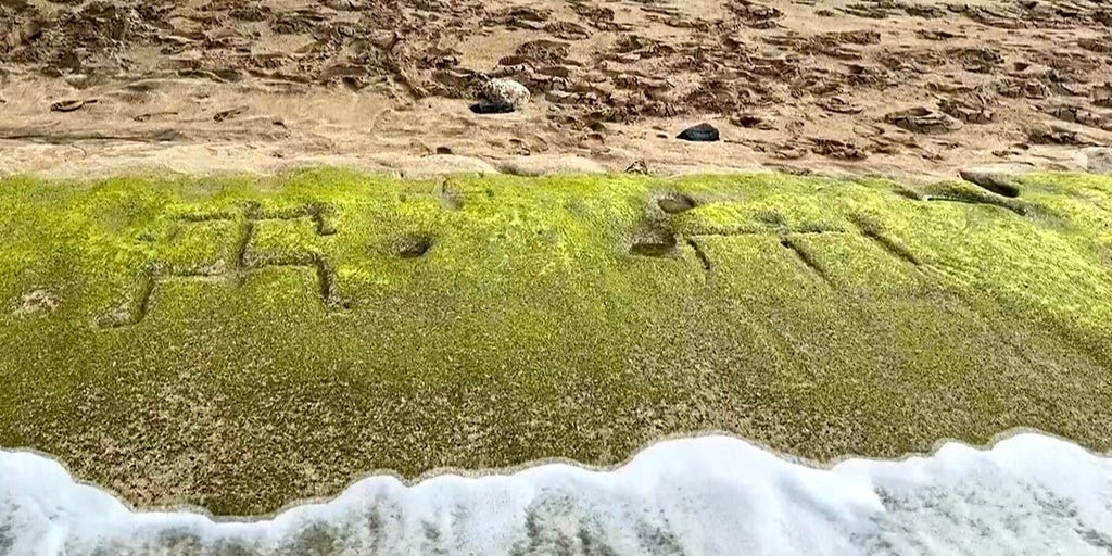 Ancient Hawaiian petroglyphs reappear on Oahu beach after shifting tides