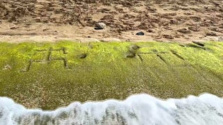 Ancient Hawaiian petroglyphs reappear on Oahu beach after shifting tides