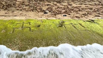 Ancient Hawaiian petroglyphs reappear on Oahu beach after shifting tides