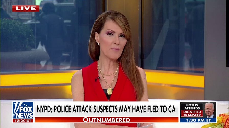 Dagen McDowell on NYC migrant attack: It’s hard to unravel the ‘damage these left-wing lunatics have done’