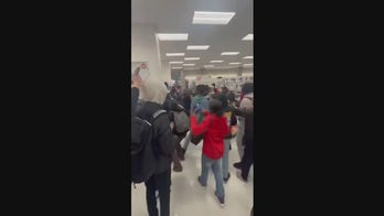 Teen mobs clash in wild San Francisco mall brawl