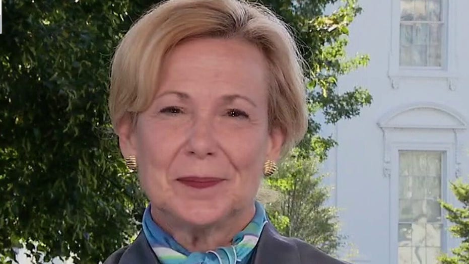 White House coronavirus response coordinator Birx plans to retire after travel backlash