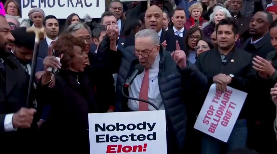 Democrat lawmakers protest Trump and Musks DOGE cuts to USAID
