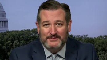 Biden counting on press, Big Tech to protect him from answering questions: Cruz