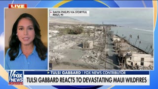 Tulsi Gabbard slams government response to Maui wildfire: 'Deficit in trust' - Fox News
