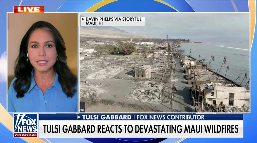 Tulsi Gabbard slams government response to Maui wildfire: 'Deficit in trust'