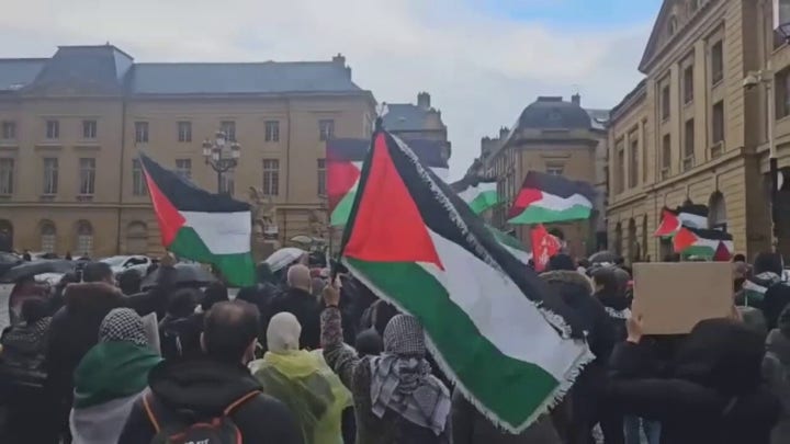 Pro-Palestinian demonstrators gather in France, call for ceasefire