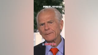 America must break China's chokehold on critical minerals, Peter Navarro says