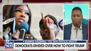 Democrats ramp up 'wild rhetoric' against Trump: 'Temu Hitler'
