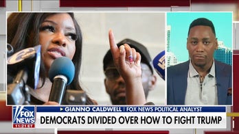 Democrats ramp up 'wild rhetoric' against Trump: 'Temu Hitler'