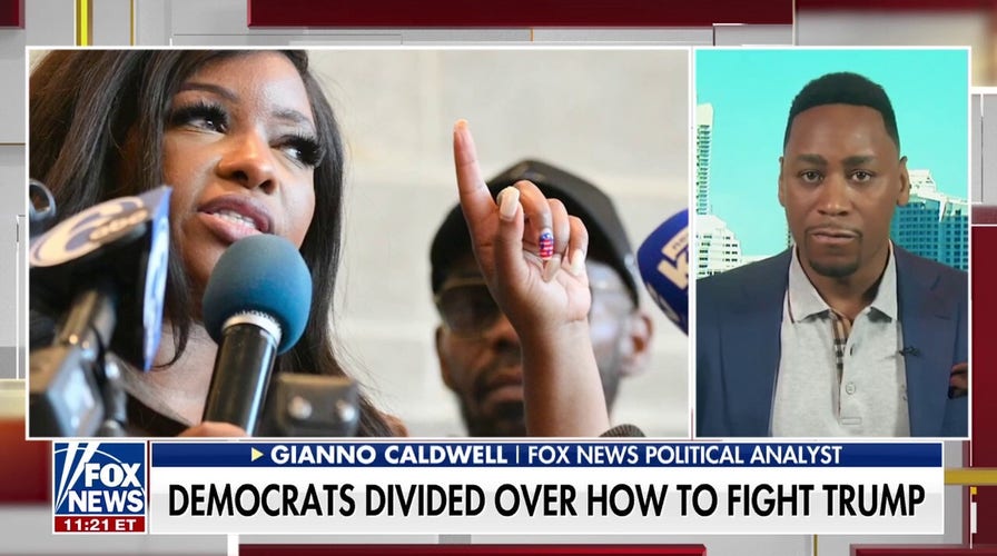 Democrats ramp up 'wild rhetoric' against Trump: 'Temu Hitler'