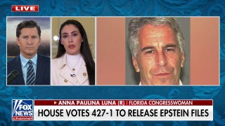 Epstein had ties to foreign intelligence, Republican claims