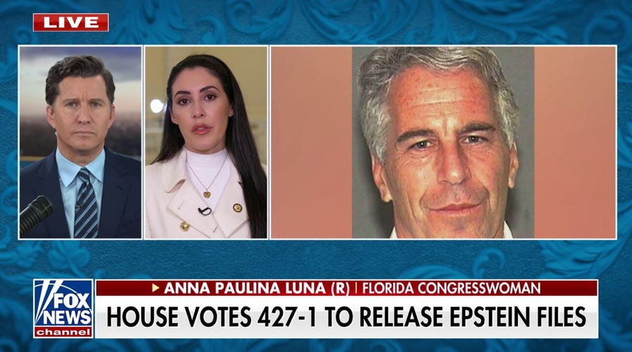 Epstein had ties to overseas   intelligence, Republican claims