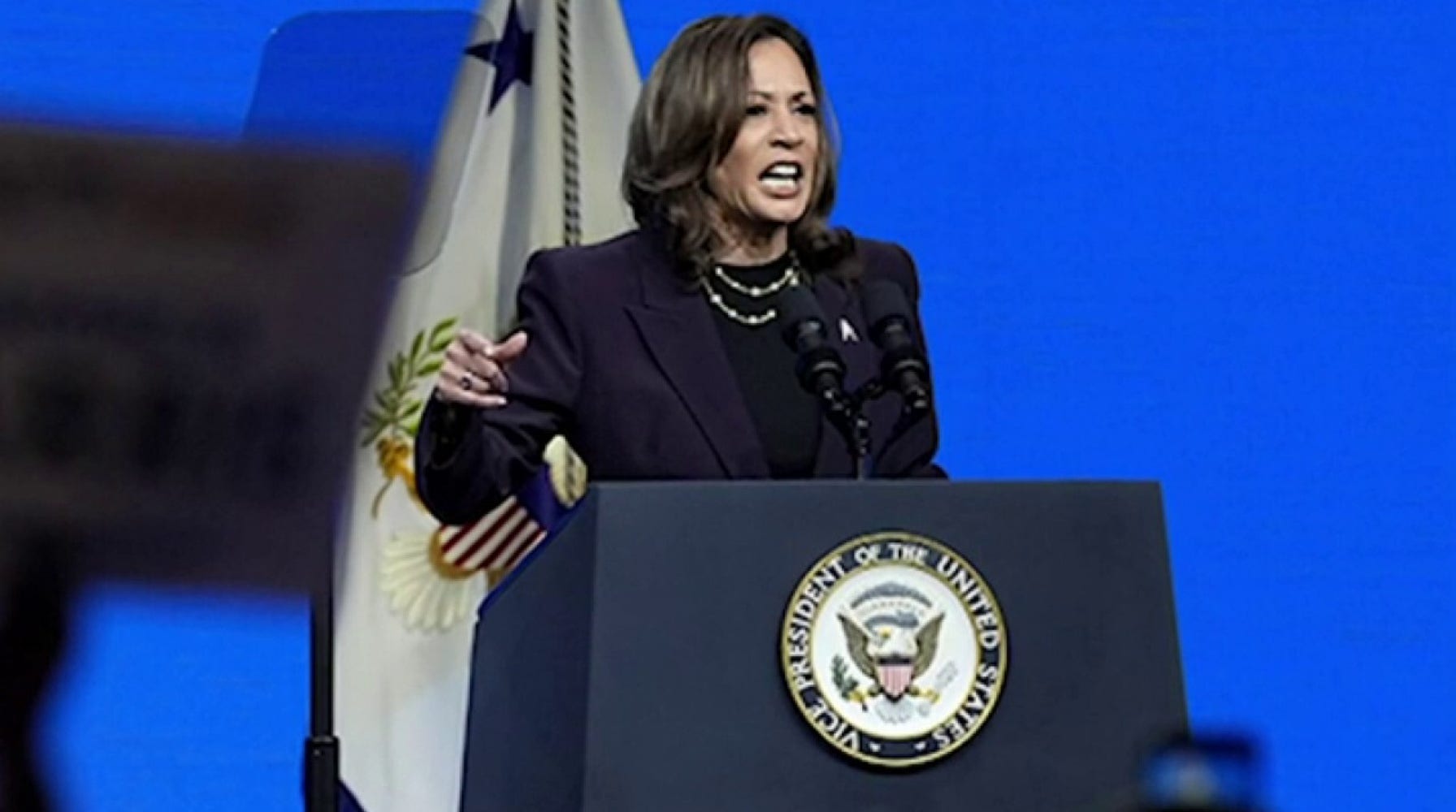 Kamala Harris Admits Biden's Border Policy is a Catastrophic Failure