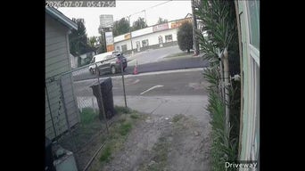 Surveillance footage shows ICE agents chasing illegal immigrant before shooting