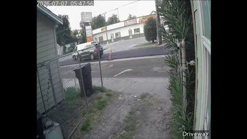 Surveillance footage shows ICE agents chasing illegal immigrant before shooting