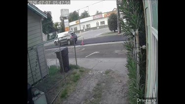 Surveillance footage shows ICE agents chasing illegal immigrant before shooting