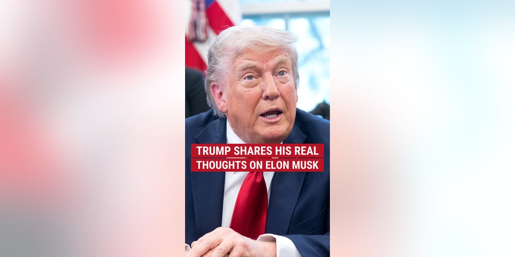 Trump praises Musk as 'patriot' amid DOGE exit