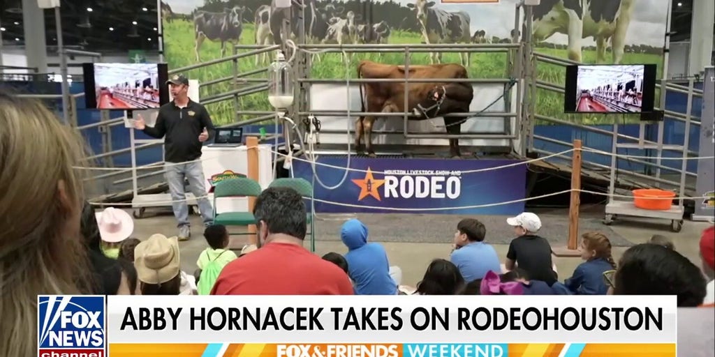 Fans flock to Houston for largest livestock show and rodeo