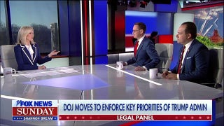 DOGE legal troubles will be ‘largely speed bumps,’ legal expert argues - Fox News