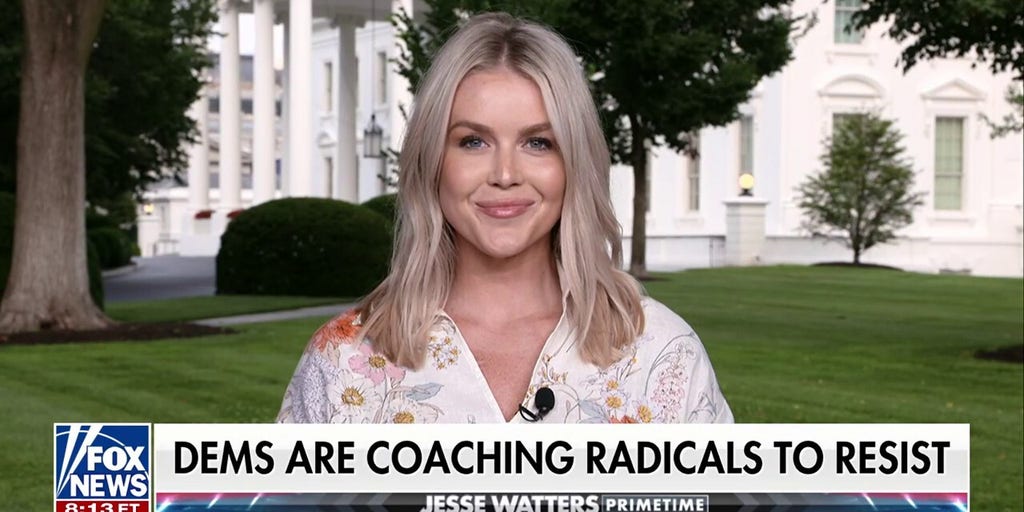 Karoline Leavitt: 'Democrats learned NOTHING on November 5th' when Americans voted for common sense