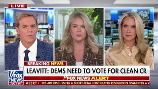 Karoline Leavitt accuses Dems of 'lying' about funding for illegal immigrant healthcare: 'Unacceptable'