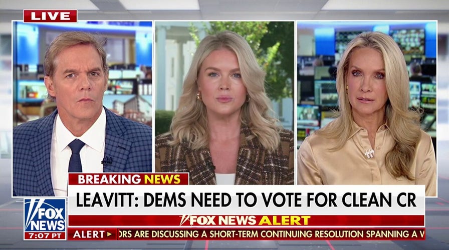 Karoline Leavitt accuses Dems of 'lying' about funding for illegal immigrant healthcare: 'Unacceptable'