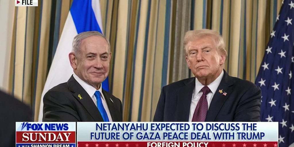 Trump to meet Zelenskyy, Netanyahu to negotiate peace overseas