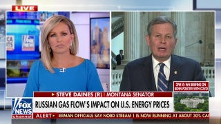 Sen. Daines on importance of energy independence: 'Putin holds Europe hostage with pipeline' - Fox News