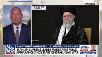US ambassador to NATO urges Iran to seek peace with the US, Israel amid domestic terror concerns